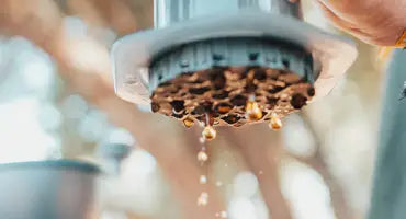 How-to-use-the-new-AeroPress-GO Wilder News Blog