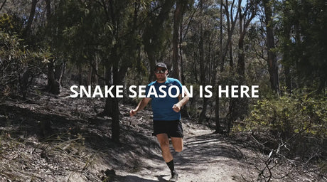Sssafety-First-Snake-Season-is-here Wilder News Blog