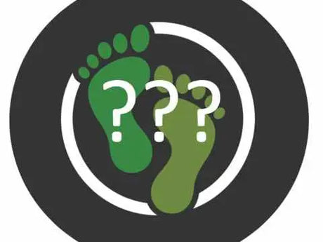 Who-is-Find-Your-Feet Wilder News Blog