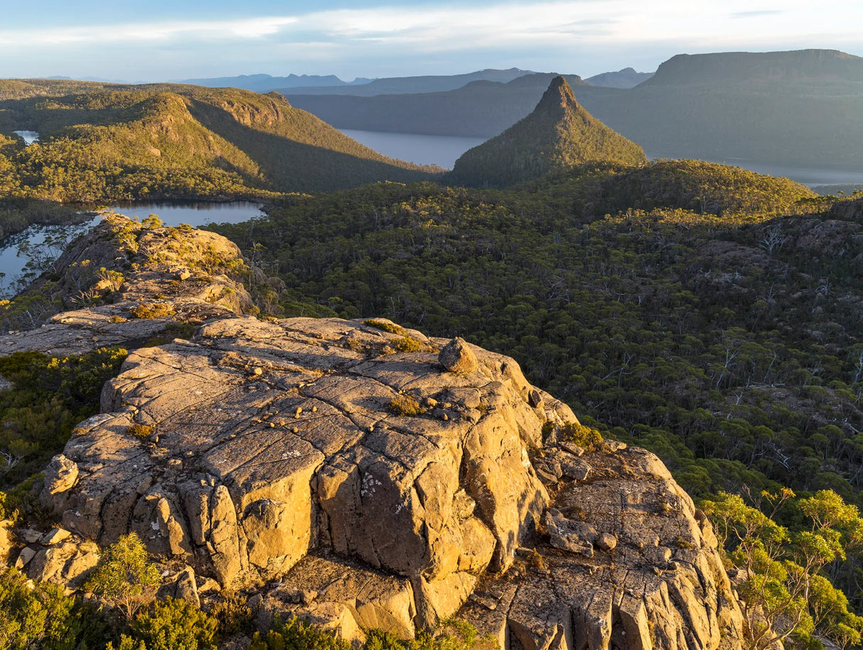 A scenic landscape photograph showing a rocky foreground with sunlit tan stone, dense green forested hills, a body of water, and distant blue mountains under a pale sky. - Rob Blakers Wild Tasmania 2027 Large Calendar