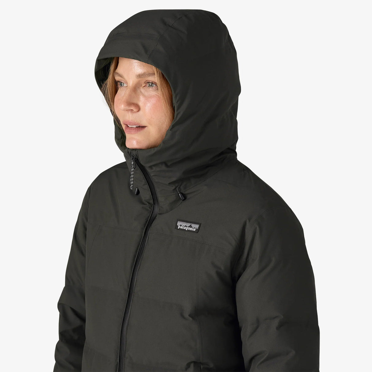 Patagonia Jackson Glacier Jacket (Women's) Patagonia