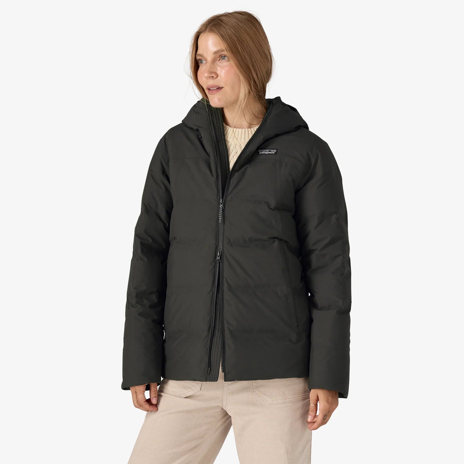 Patagonia Jackson Glacier Jacket (Women's) Patagonia