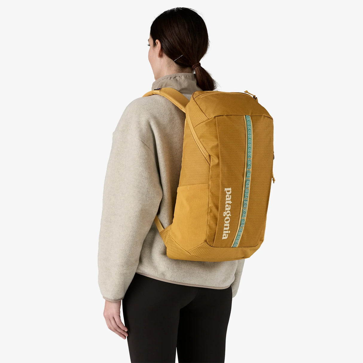 Patagonia Black Hole Pack - 25L Patagonia