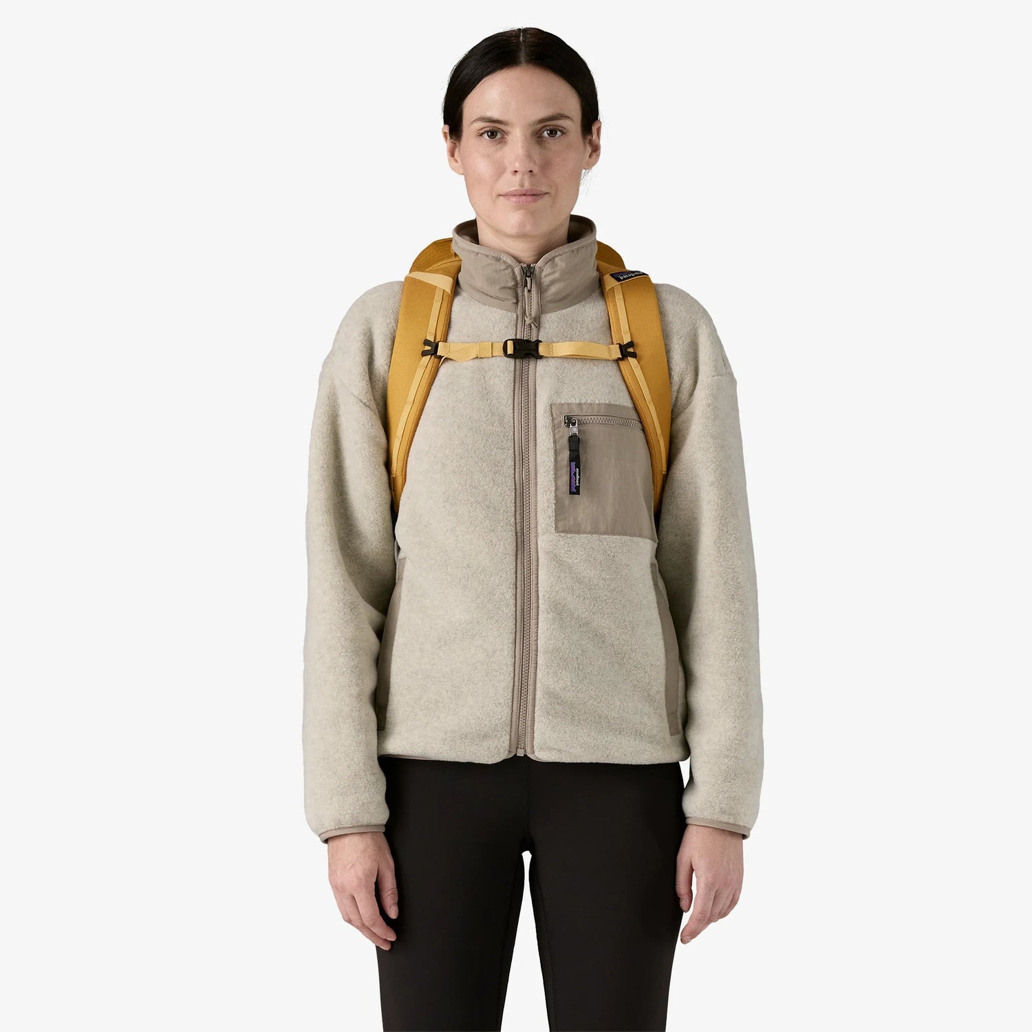 Patagonia Black Hole Pack - 25L Patagonia