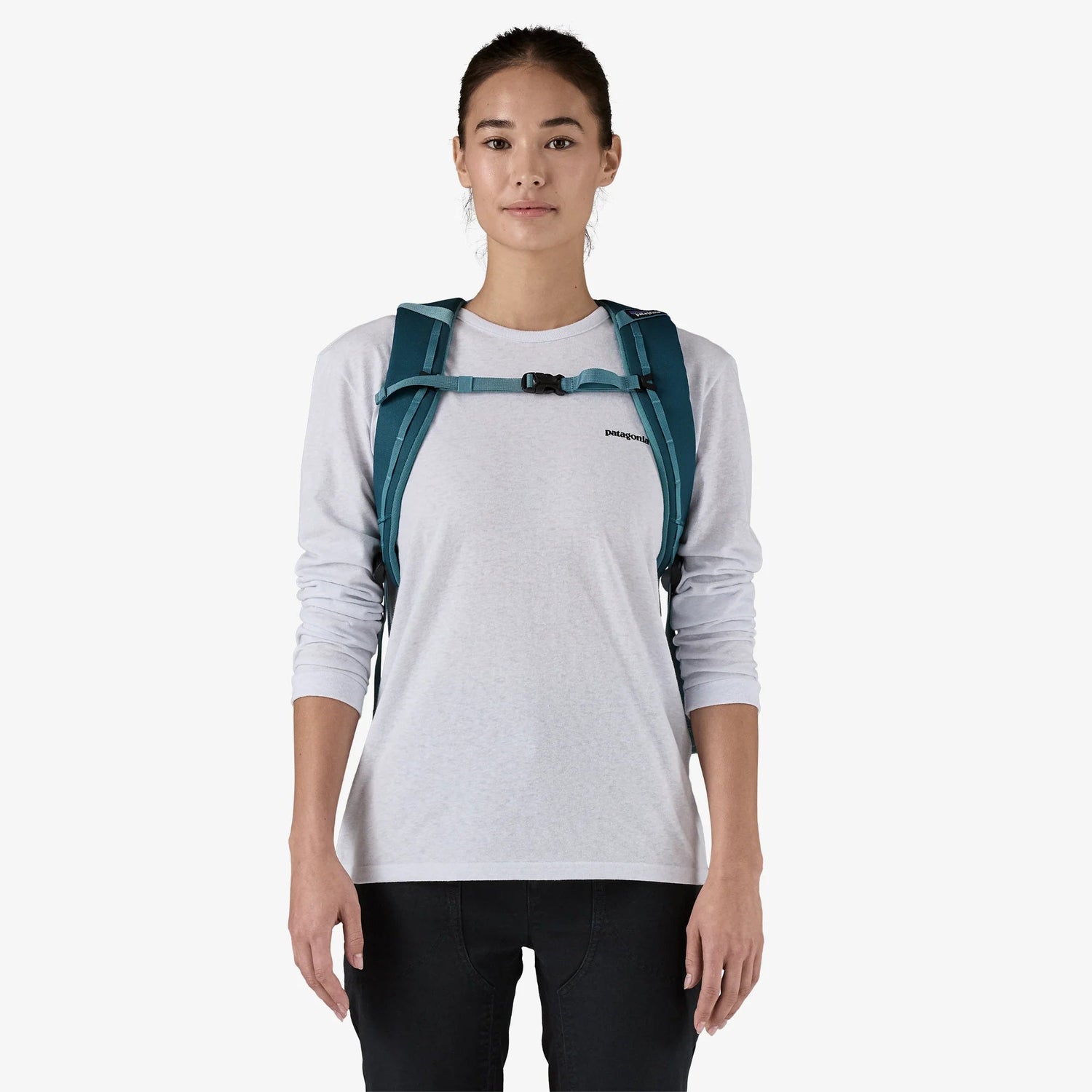 Patagonia Black Hole Pack - 25L Patagonia