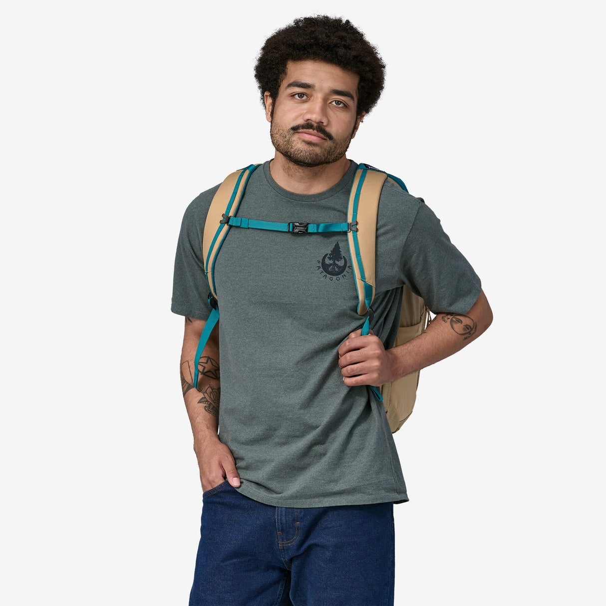 Patagonia Black Hole Pack 32L Patagonia