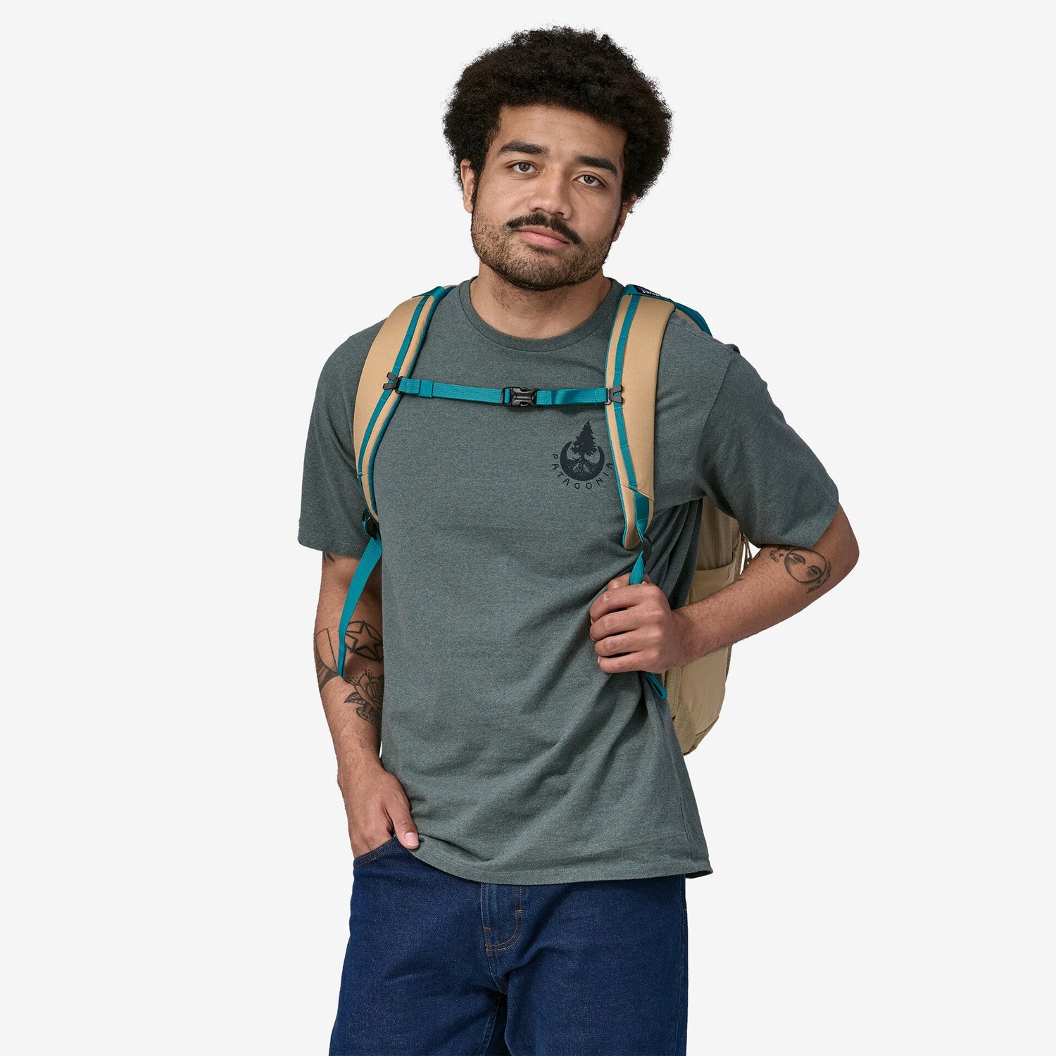 Patagonia Black Hole Pack 32L Patagonia