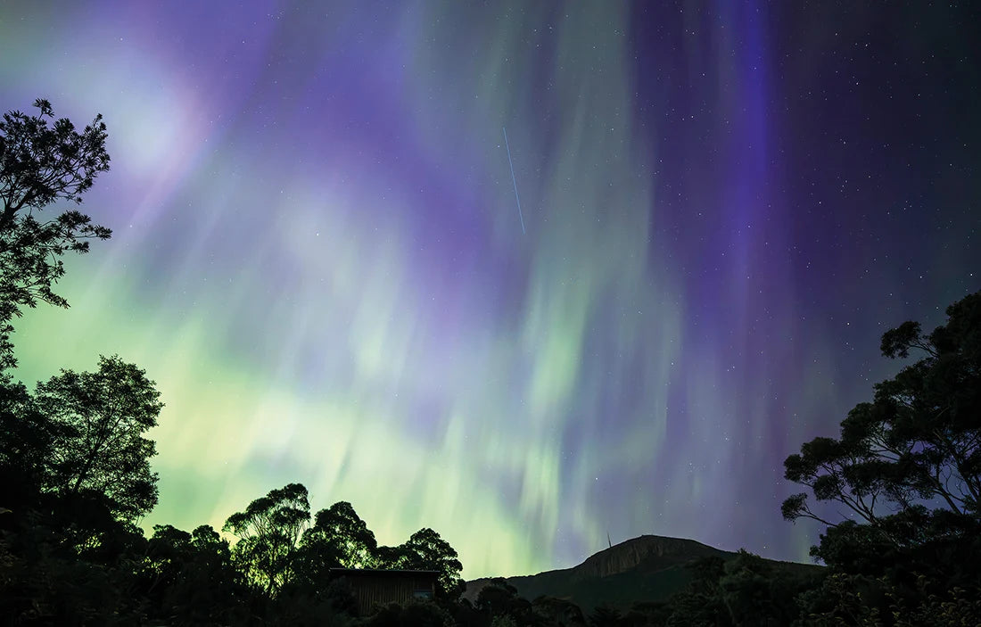 Northern lights with vibrant green, purple, and blue curtains dancing across a starry night sky, framed by dark tree silhouettes at the bottom. - Rob Blakers Tasmanian Landscapes Calendar