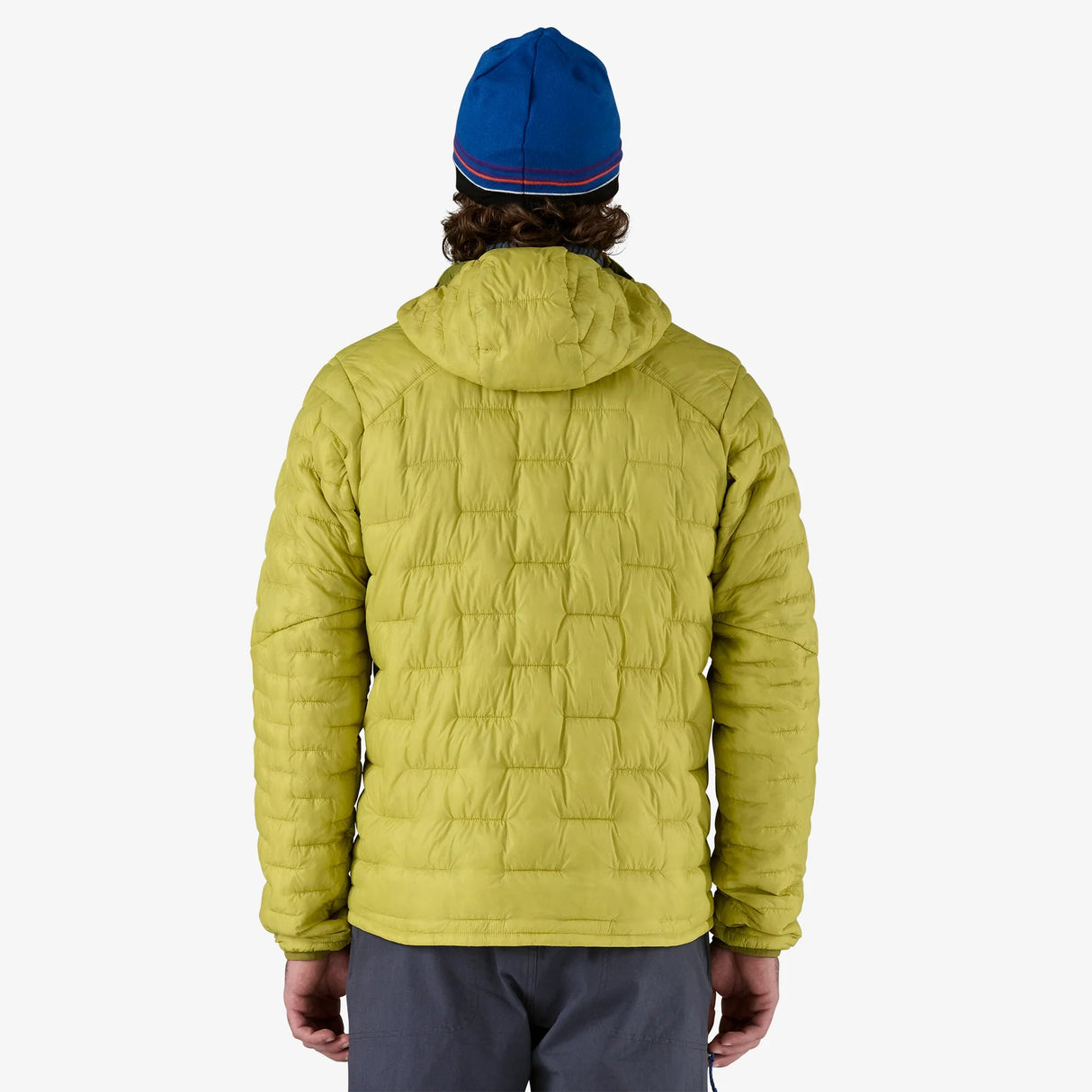 Patagonia Micro Puff Hoody (Men's) Patagonia