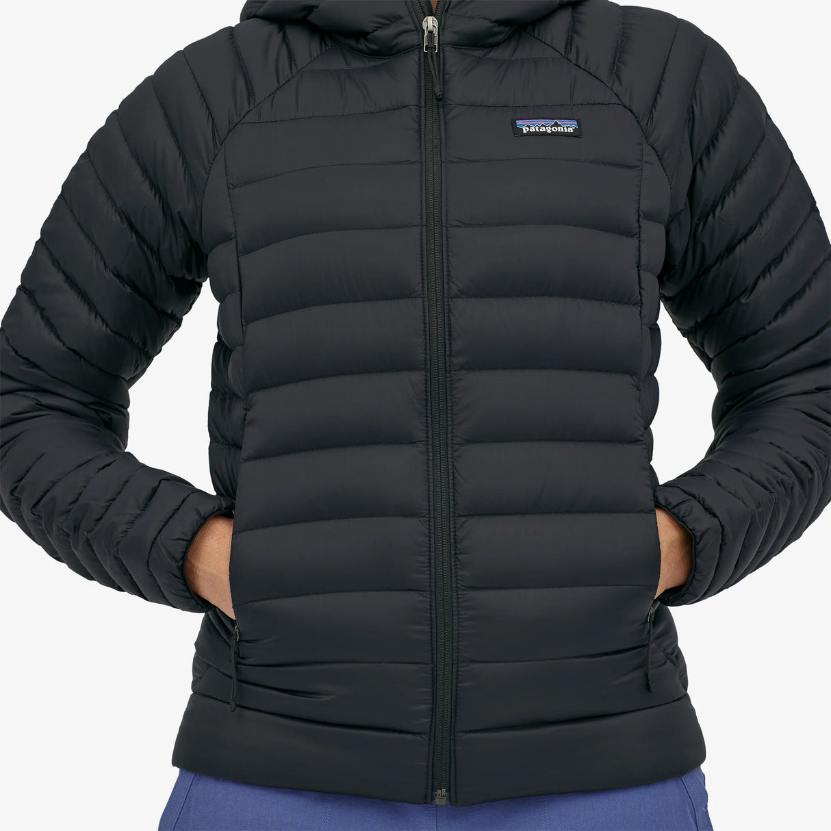 Patagonia Down Sweater Hoody (Women's) Patagonia