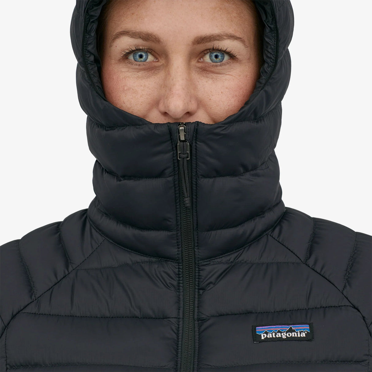 Patagonia Down Sweater Hoody (Women's) Patagonia