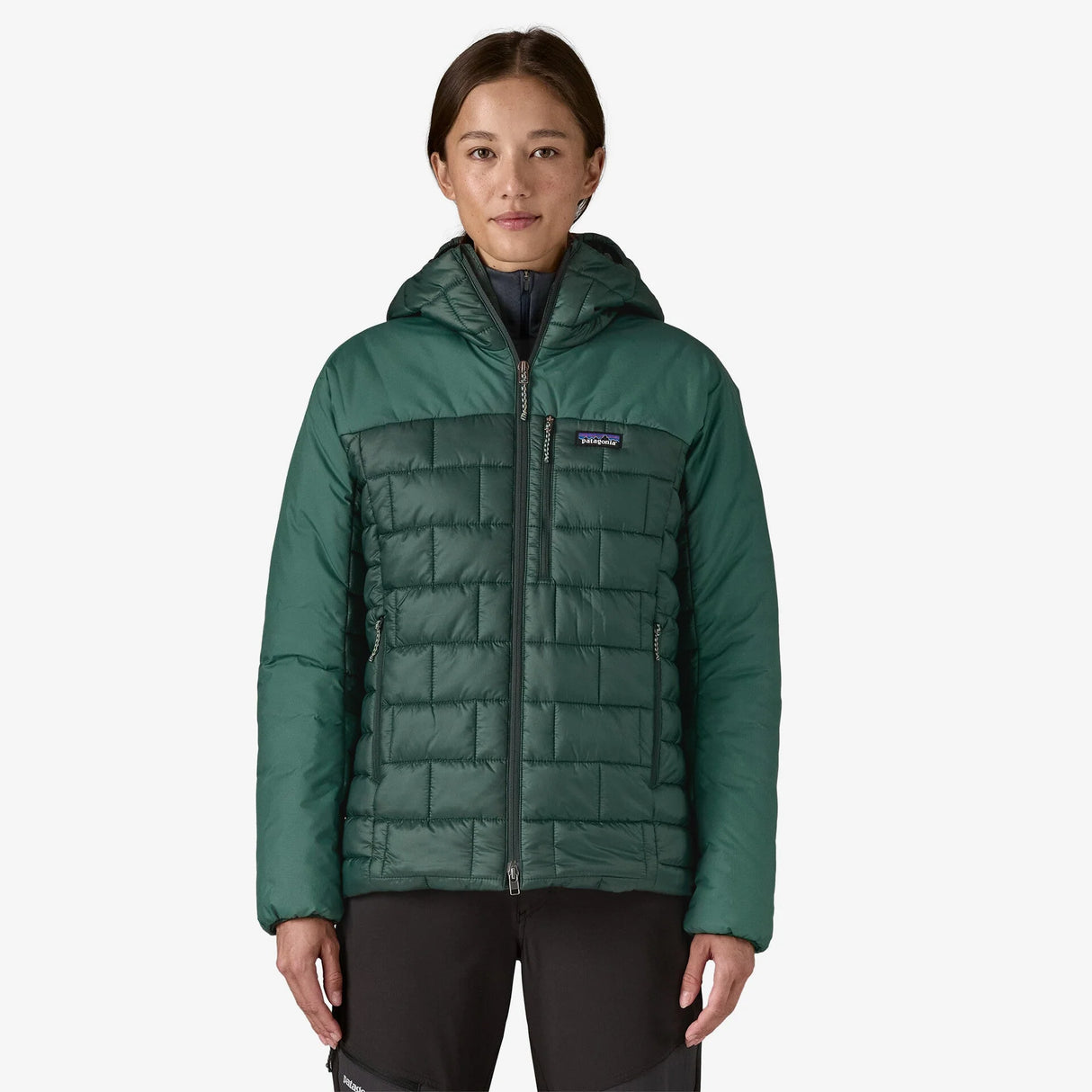 Patagonia Hi-Loft Nano Puff Hoody (Women's) - Cascade Green