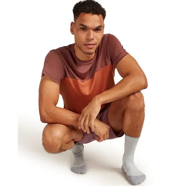 Icebreaker Merino Hike+ Light Crew Socks (Men's) Icebreaker