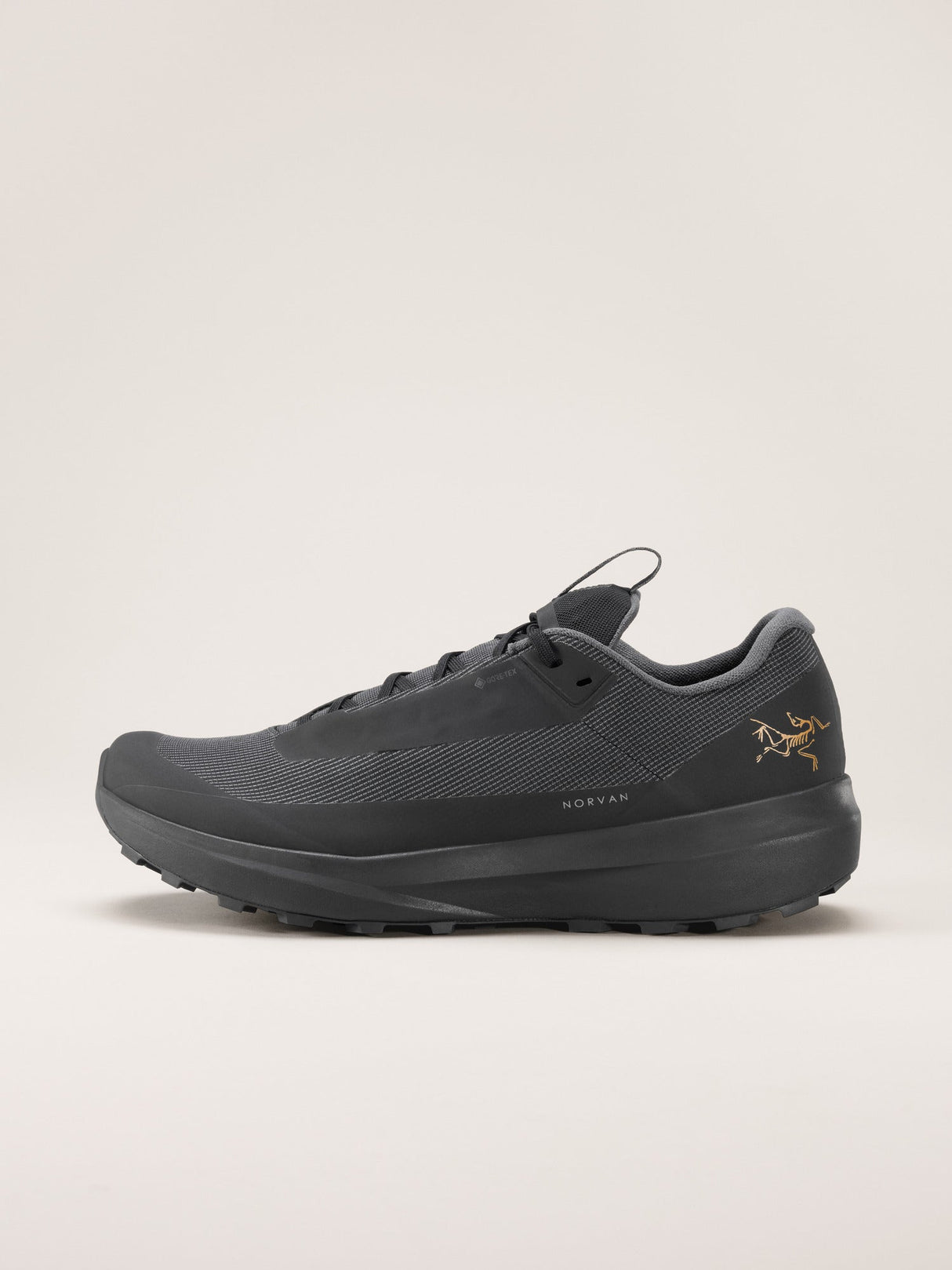 Arc'teryx Norvan LD 4 GORE-TEX Shoes (Women's) - Black/Black