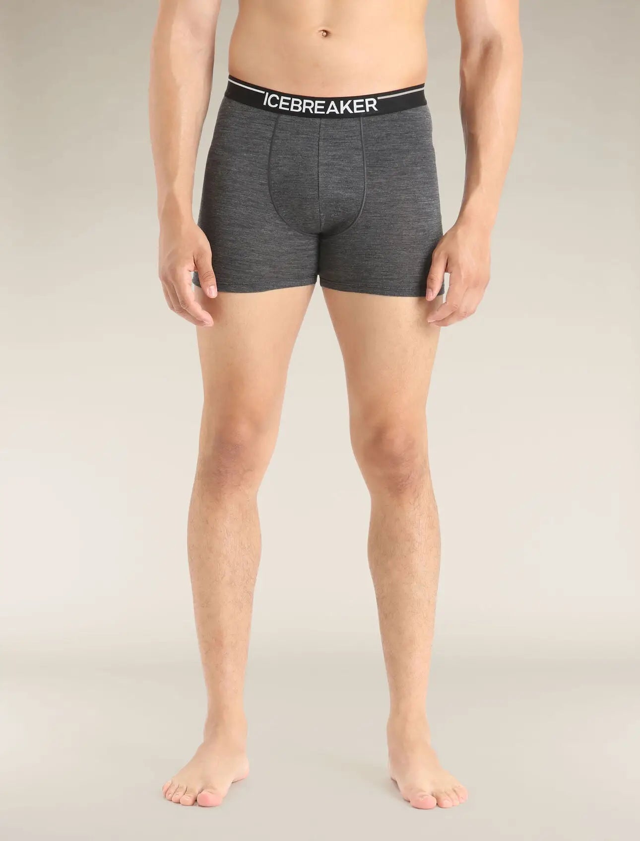 Icebreaker Merino 150 Anatomica Boxers (Men's) Icebreaker