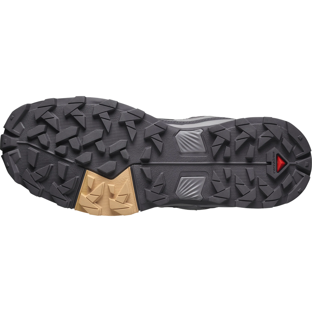 Salomon X Ultra 5 GORE-TEX (Women's) - Plum Kitten/Nine Iron/Soft Clay - Find Your Feet Australia Hobart Launceston Tasmania