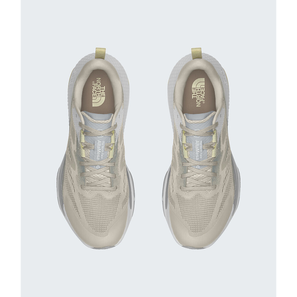 The North Face Altamesa 500 Shoes (Men's)