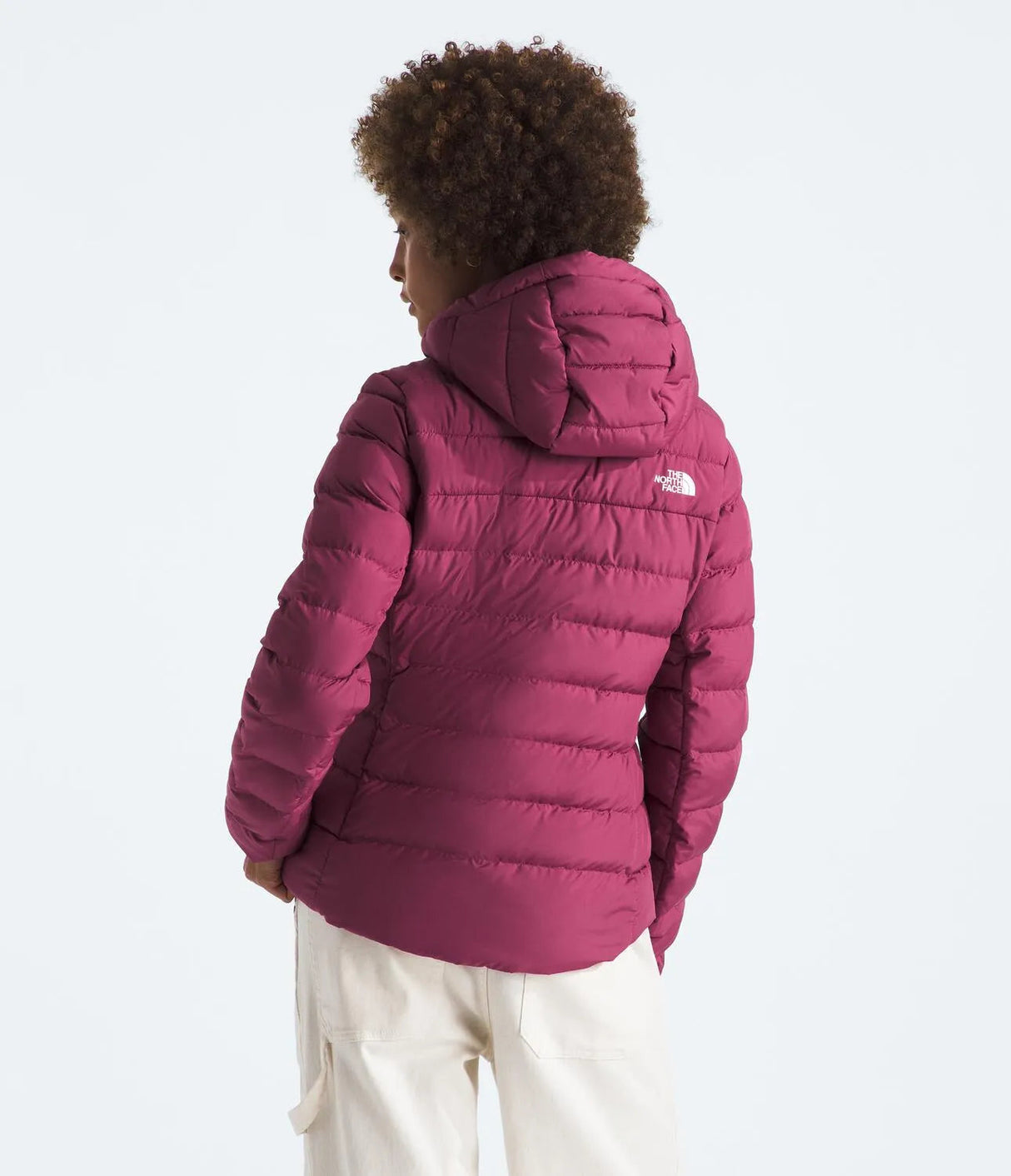 The North Face Aconcagua 3 Hoody (Womens) The North Face