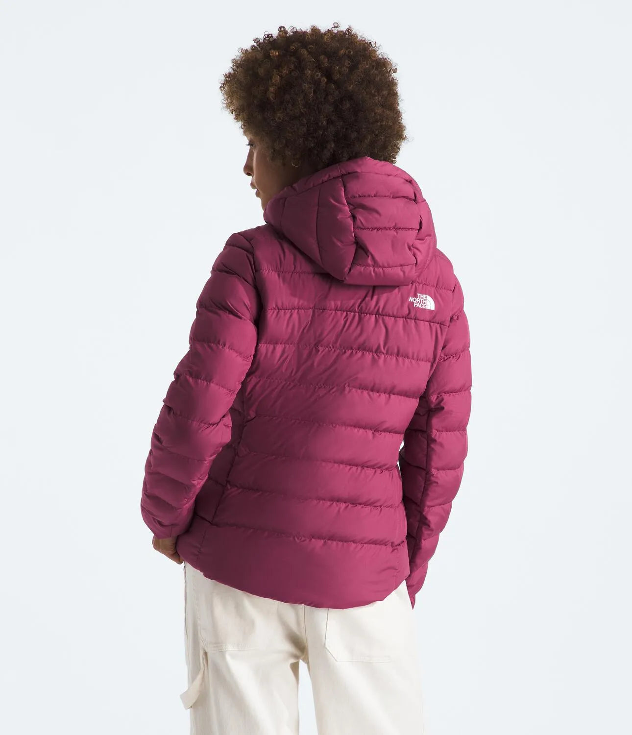 The North Face Aconcagua 3 Hoody (Womens) The North Face