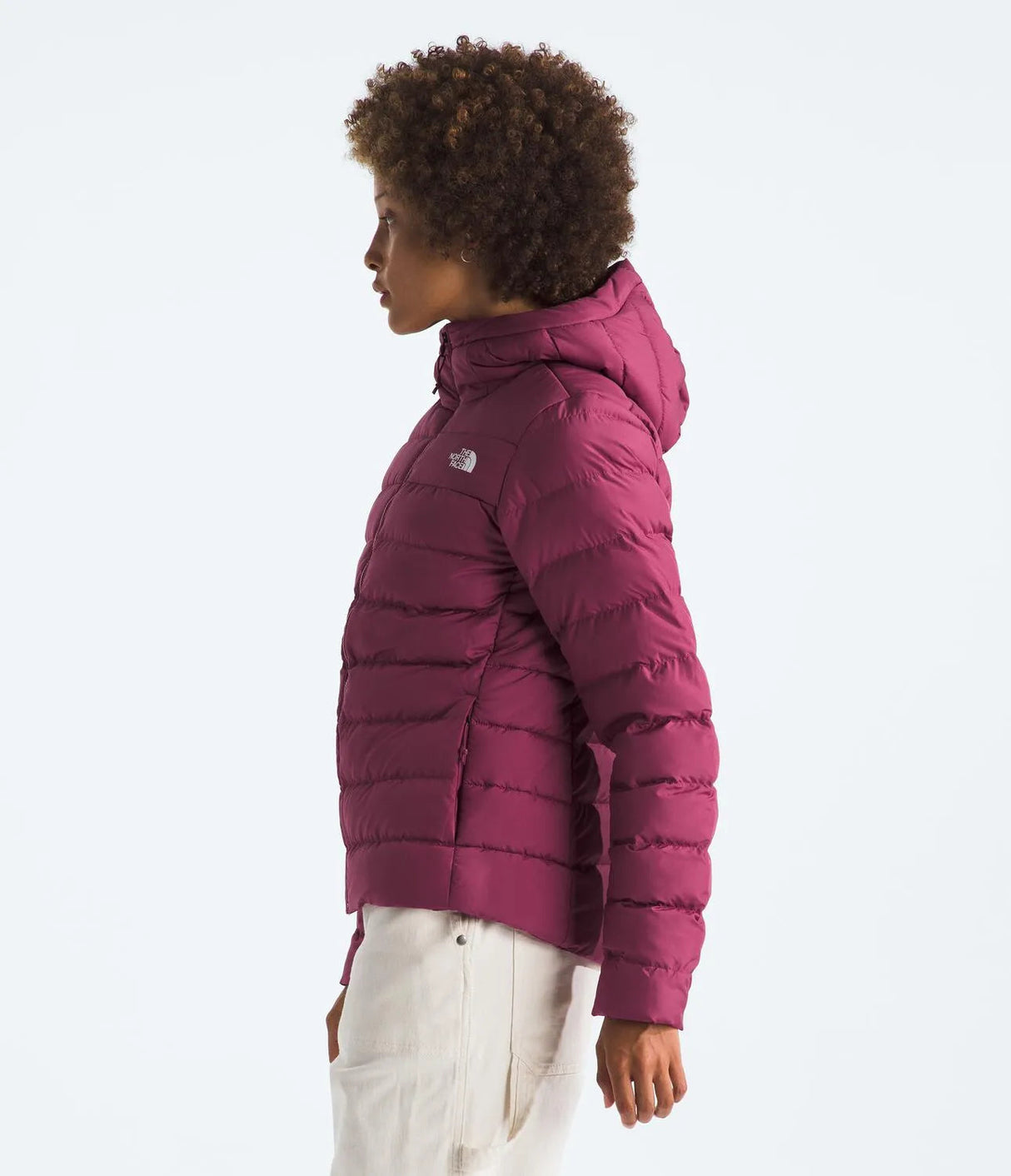The North Face Aconcagua 3 Hoody (Womens) The North Face