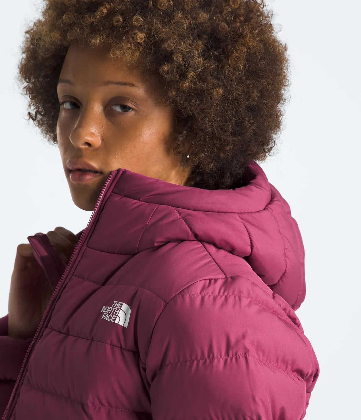 The North Face Aconcagua 3 Hoody (Womens) The North Face
