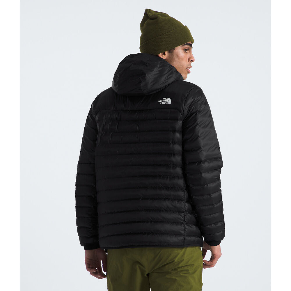 The North Face Terra Peak Hooded Jacket (Men's) The North Face