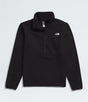 The North Face Glacier Quarter Zip (Men's) The North Face