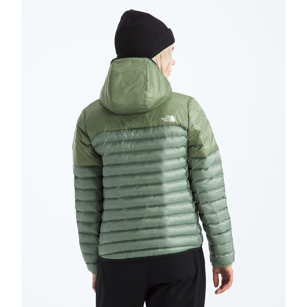The North Face Terra Peak Hooded Jacket (Women's) The North Face