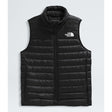 The North Face Terra Peak Vest (Women's) The North Face
