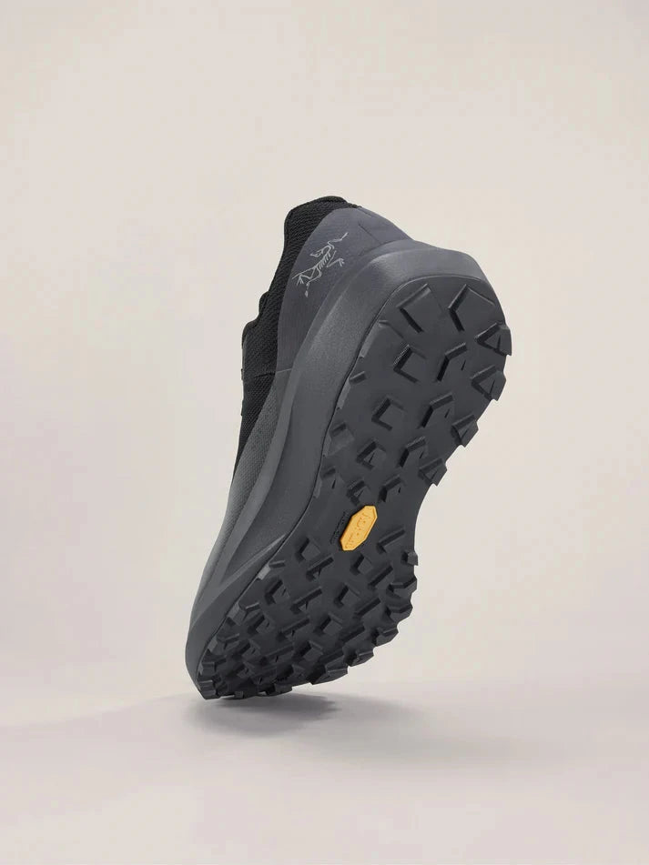 Arc'teryx Norvan LD 4 (Women's)