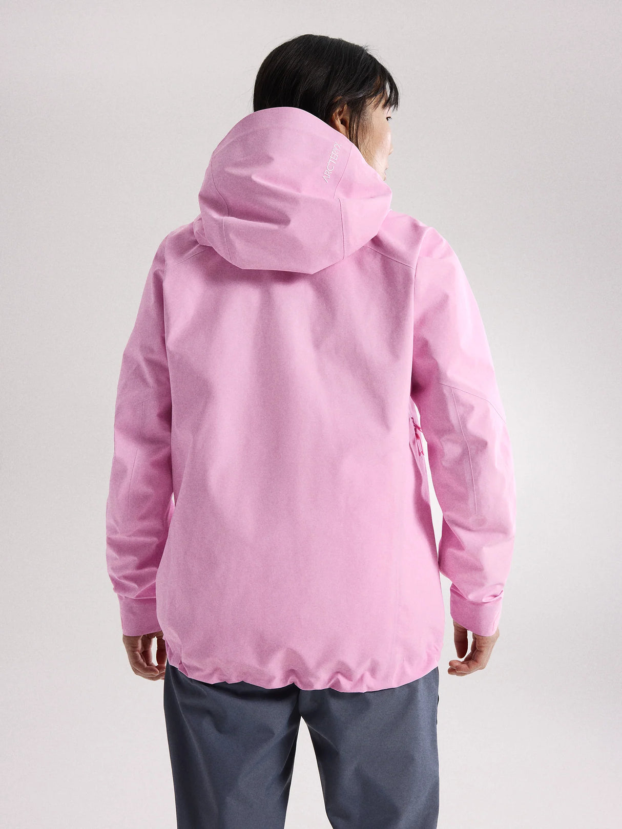 Arc'teryx Beta SV Jacket (Women's) - Pineberry