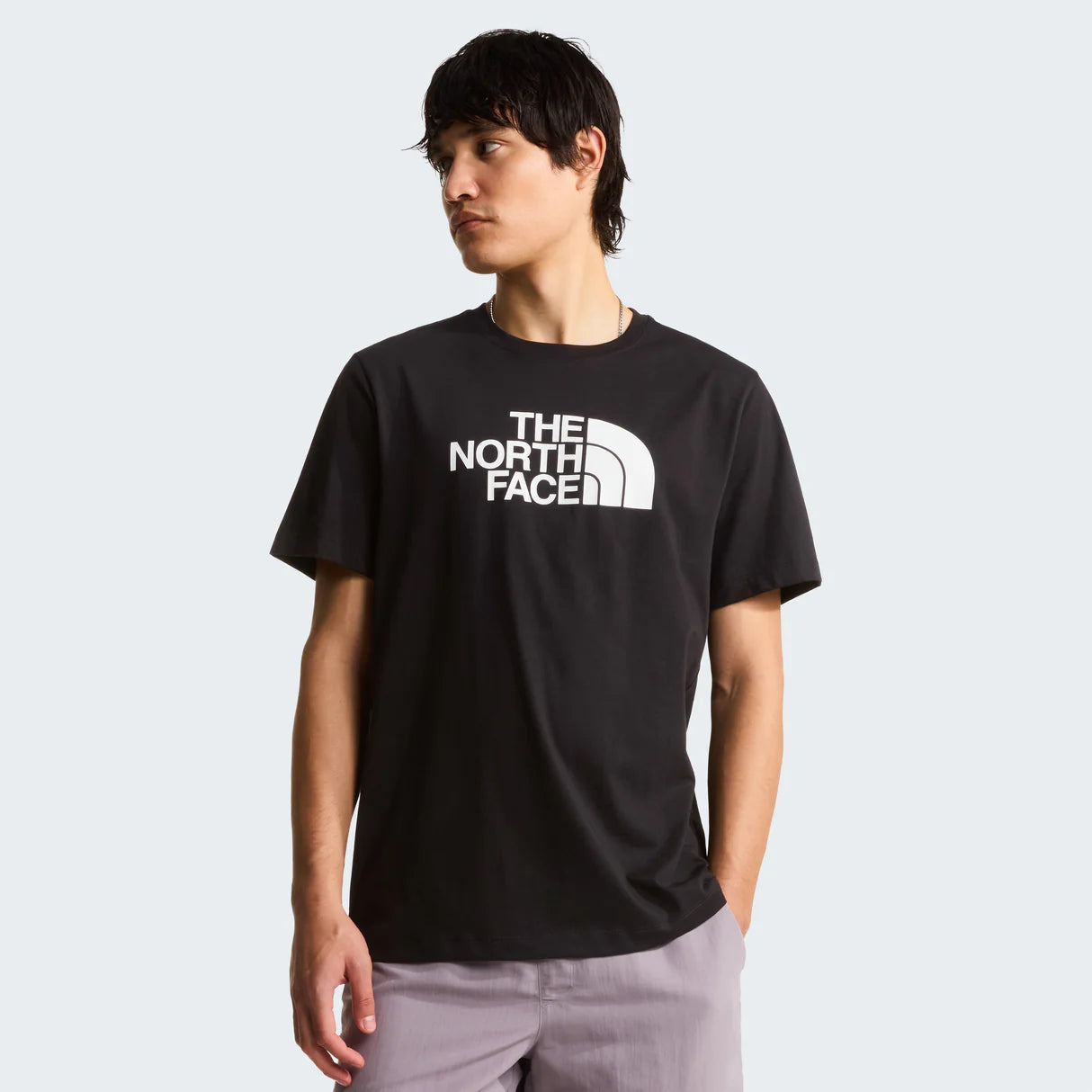 The North Face Evolution Half Dome Short-Sleeve Tee (Men's) - TNF Black/TNF White