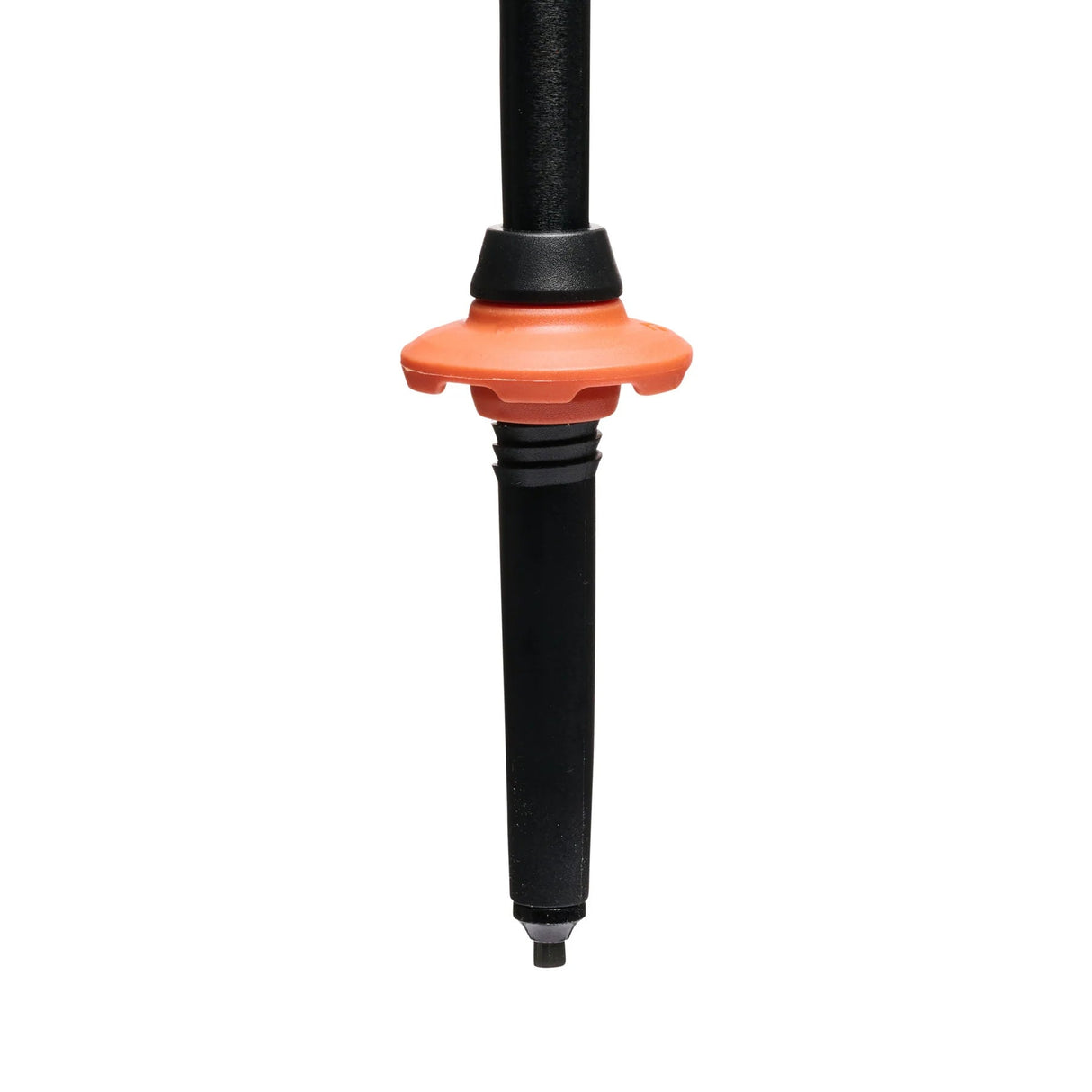 Black Diamond Trail Cork Trekking Poles Black Diamond