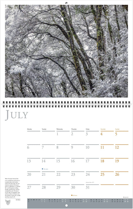 Wild Tasmania 2026 Large Calendar - Grant Dixon/Rob Blakers Rob Blakers/Grant Dixon
