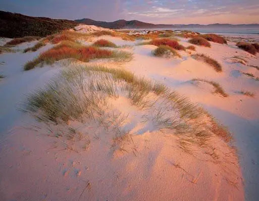 Rob Blakers Freycinet (Hardcover)