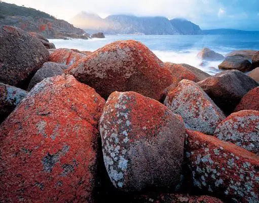 Rob Blakers Freycinet (Hardcover)