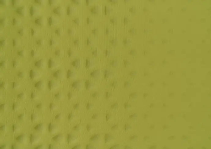 Sea to Summit Camp Self Inflating Sleeping Mat