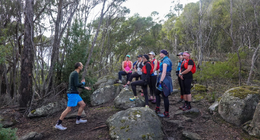 The Salomon S/LAB Pulsar is a trail running shoe designed by Salomon as a lightweight performance shoe that has a precise fit and propulsive ride.