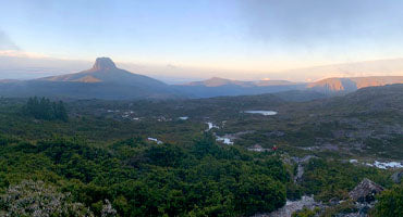 Cradle Mountain Run 2021 Race Report By Damon Whish-Wilson