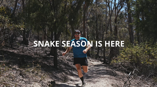 🐍 Sssafety First: Snake Season is here!