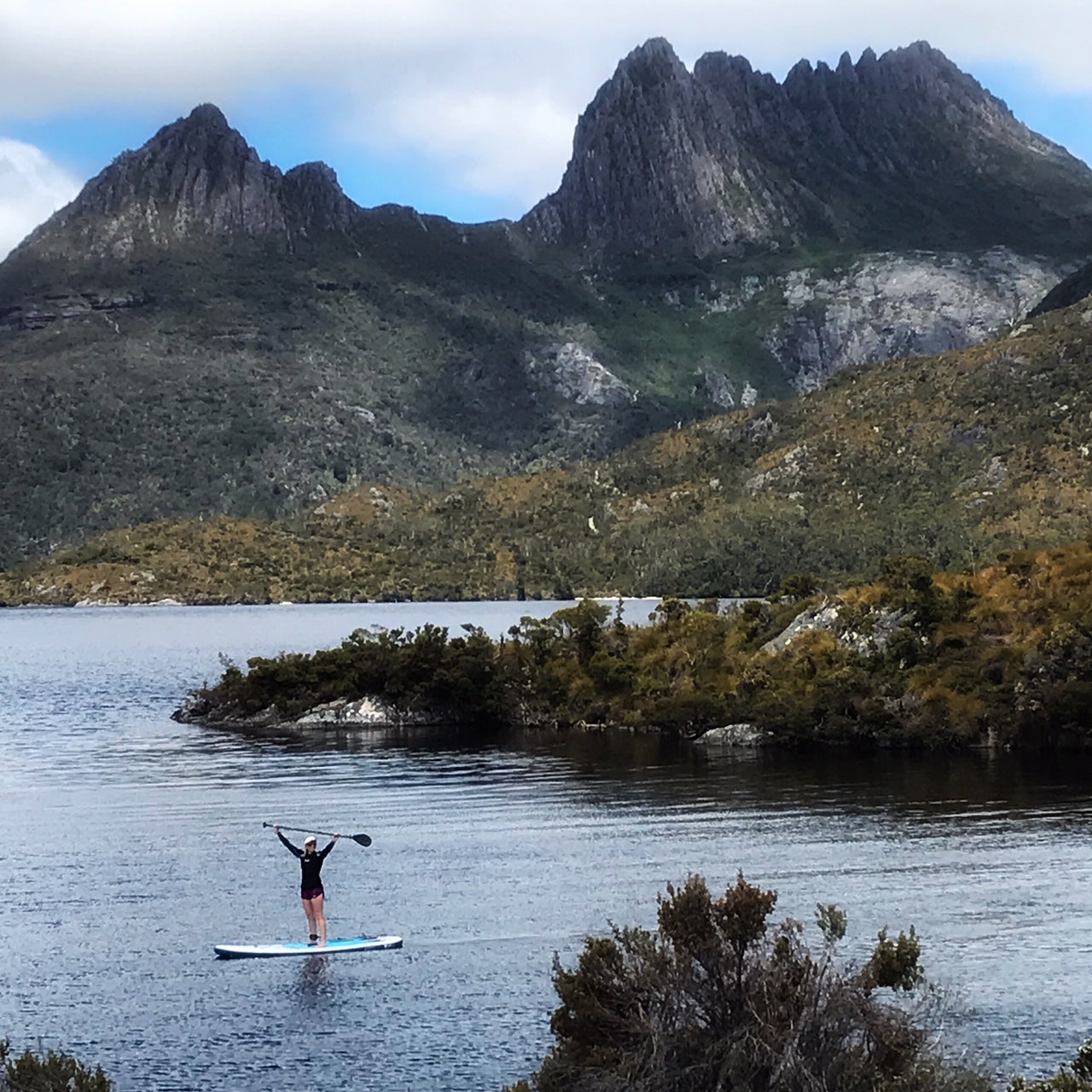 THE TWELVE DAYS OF TASSIE