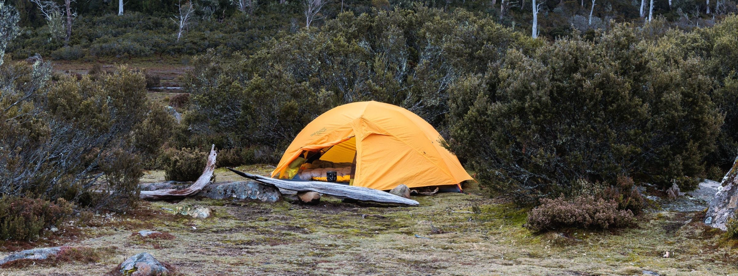 Tents & Shelters