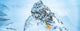 The North Face Summit Series