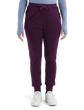 Icebreaker Crush II Pants (Women's) - Find Your Feet Australia Hobart Launceston Tasmania - Nightshade