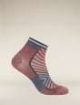 Icebreaker Merino Blend Run+ Ultralight Mini Socks (Men's) - Carob/Graphite - Find Your Feet Australia Hobart Launceston Tasmania