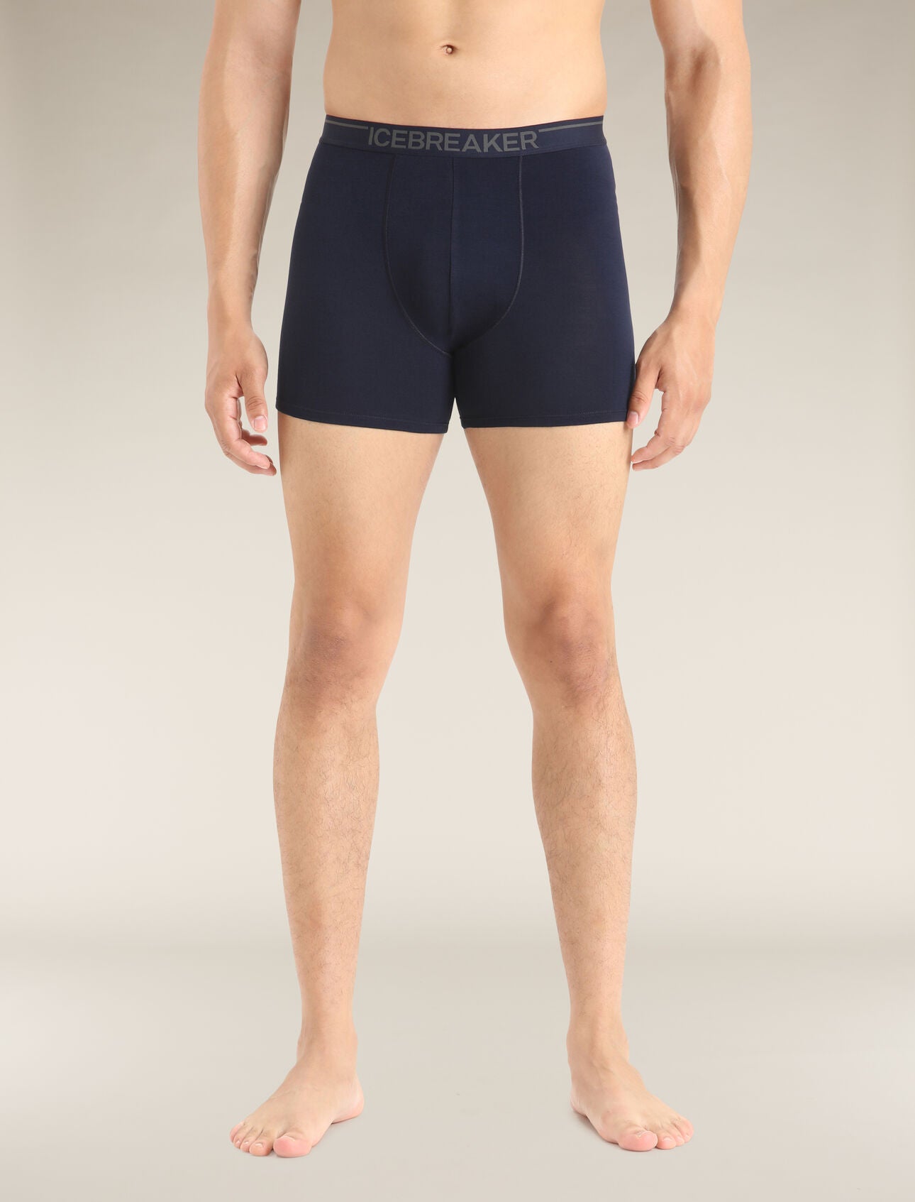 Icebreaker Merino 150 Anatomica Boxers (Men's)