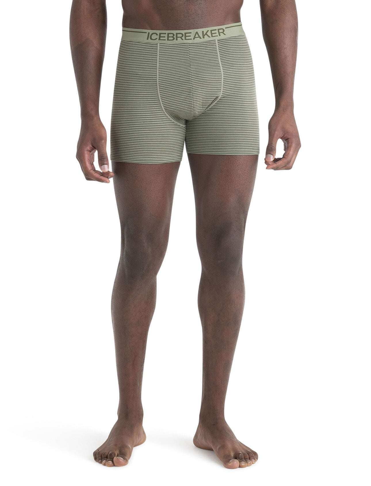Merino ICEBREAKER Anatomica Briefs Bodyfit Underwear Black Men's L Large  NEW