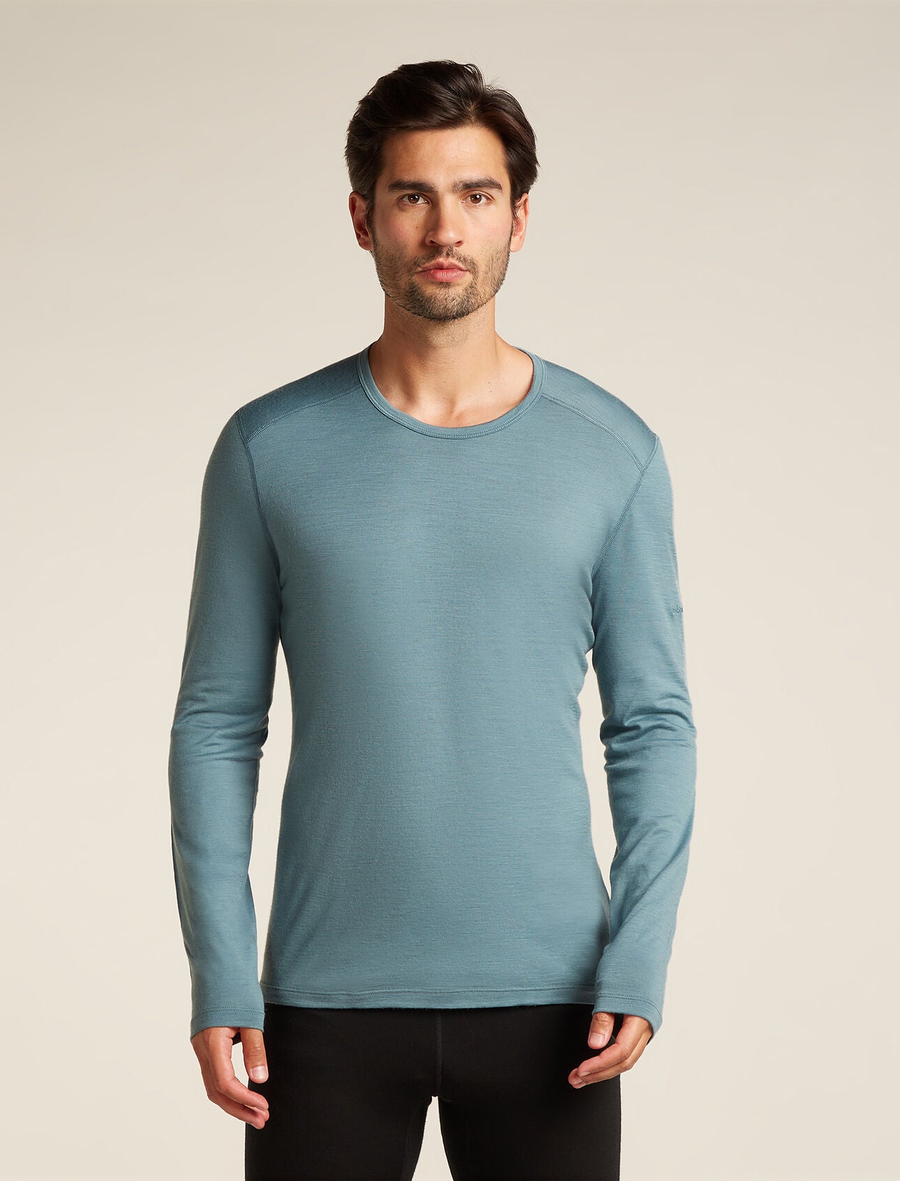 Icebreaker Merino 200 Oasis Long Sleeve Crewe (Men's)