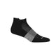 Icebreaker Merino Multisport Light Micro Socks (Men's) Icebreaker
