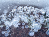 A close-up photograph of numerous clear, translucent bubbles trapped in a dark brown and gray textured surface, with a frosted gray layer across the top. - Rob Blakers Wild Tasmania 2027 Large Calendar